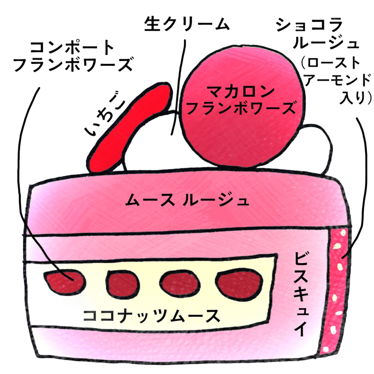 本店限定20台【2025クリスマス】ガトー ルージュ ココ