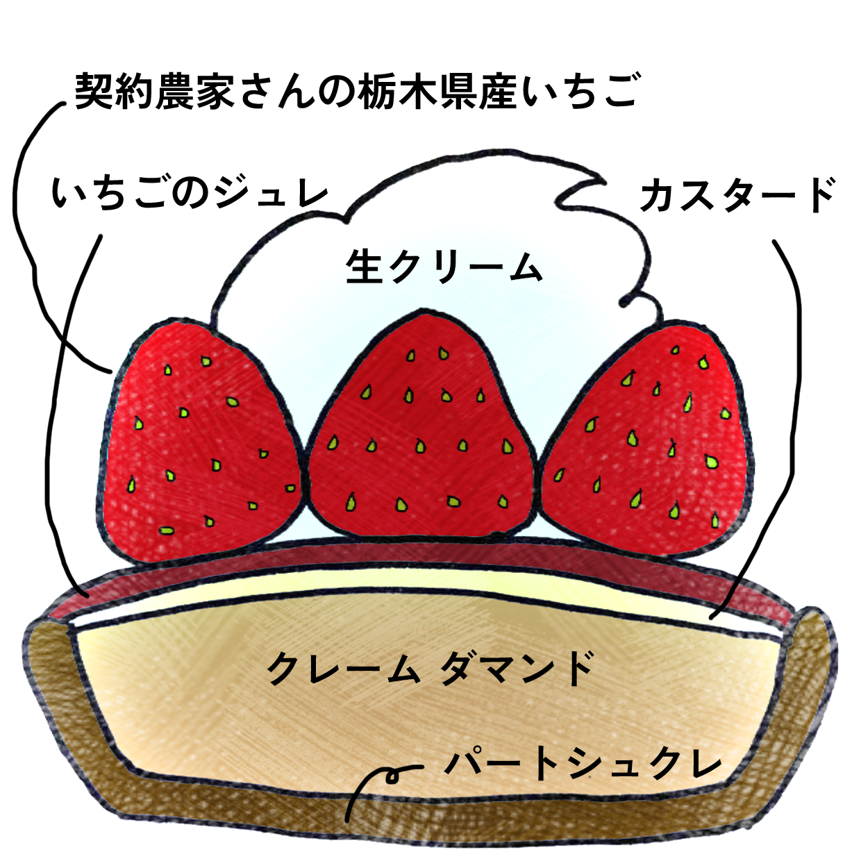 【2025クリスマス】イチゴのタルト