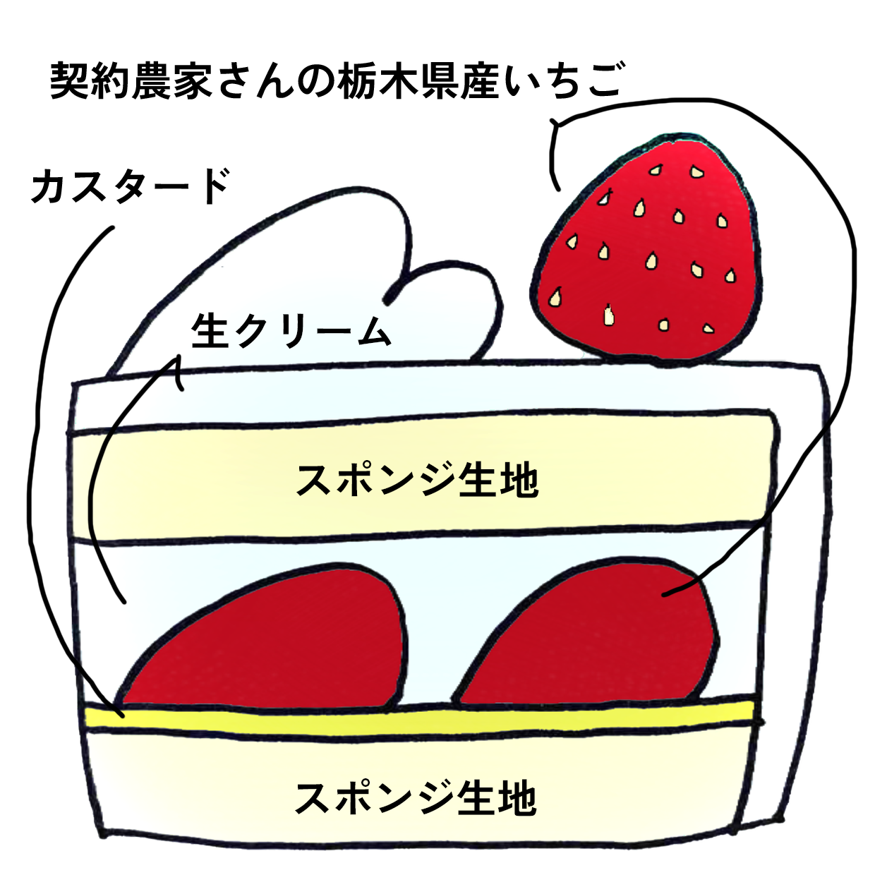 【2025クリスマス】生デコレーション