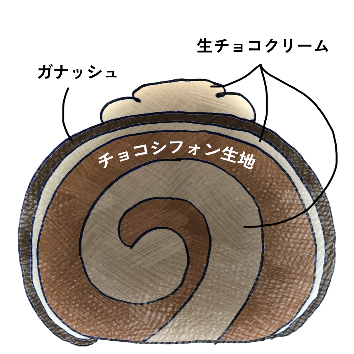 本店限定20台【2025クリスマス】生チョコノエル